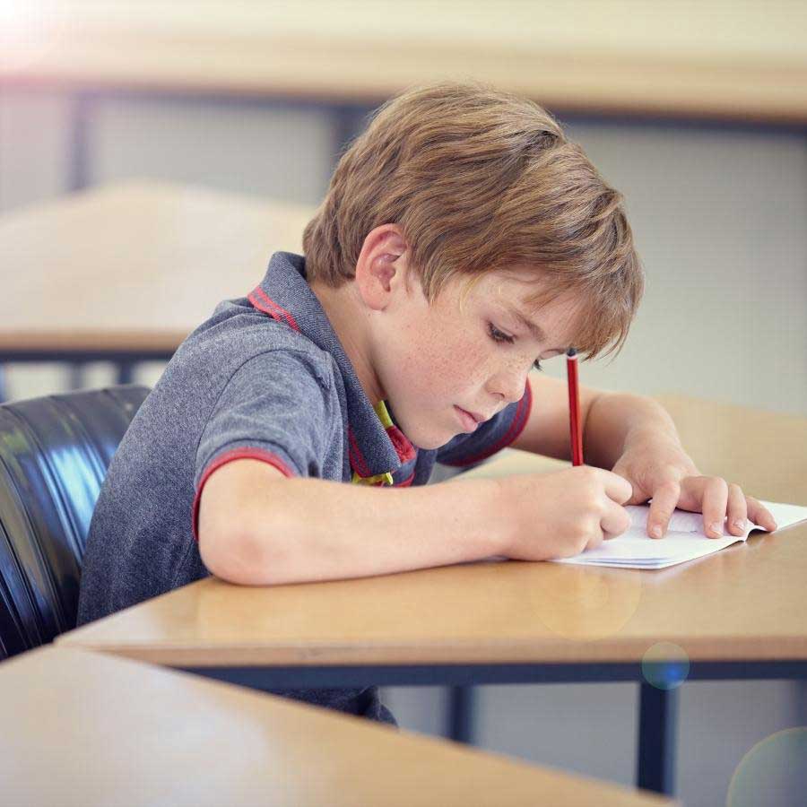 Bassfalle in Schulen Bassfalle in Schulen